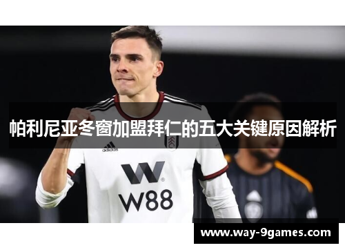 帕利尼亚冬窗加盟拜仁的五大关键原因解析 帕利尼亚冬窗加盟拜仁的五大关键原因解析