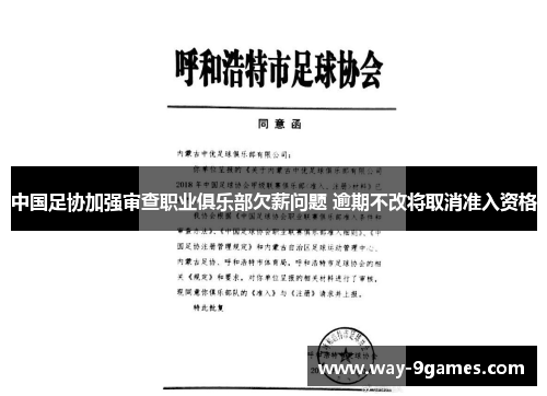 中国足协加强审查职业俱乐部欠薪问题 逾期不改将取消准入资格