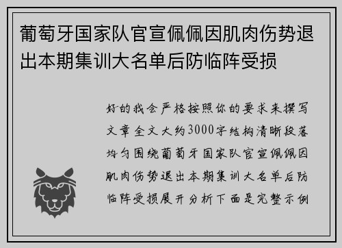 葡萄牙国家队官宣佩佩因肌肉伤势退出本期集训大名单后防临阵受损